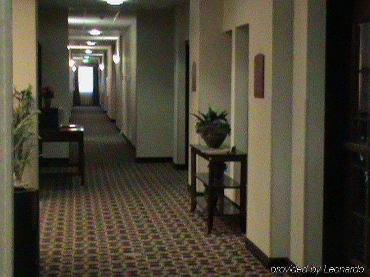 Holiday Inn Express & Suites Willcox Buitenkant foto